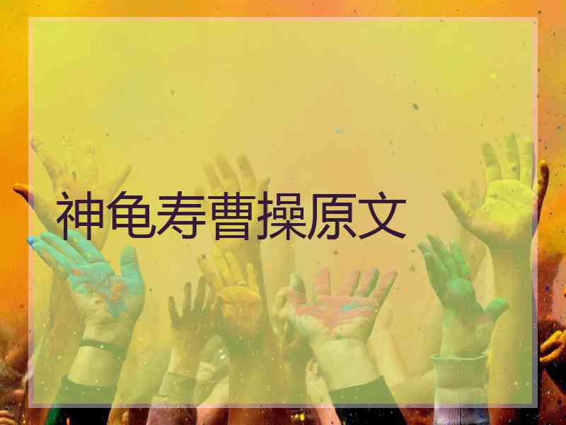 神龟寿曹操原文 神龟寿曹操原文