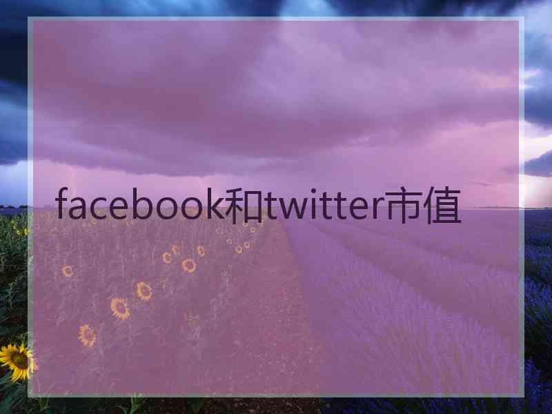 facebook和twitter市值 facebook和twitter市值