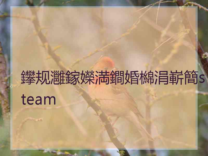 鑻规灉鎵嬫満鐧婚檰涓嶄簡steam 鑻规灉鎵嬫満鐧婚檰涓嶄簡steam