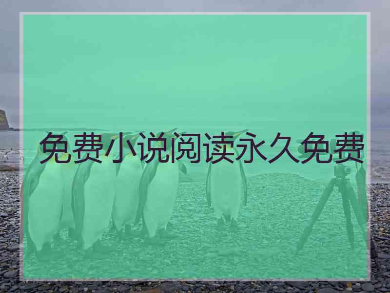 免费小说阅读永久免费 免费小说阅读永久免费