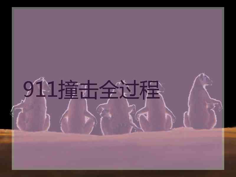 911撞击全过程 911撞击全过程
