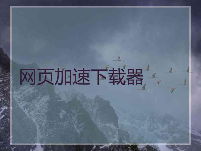 网页加速下载器 网页加速下载器