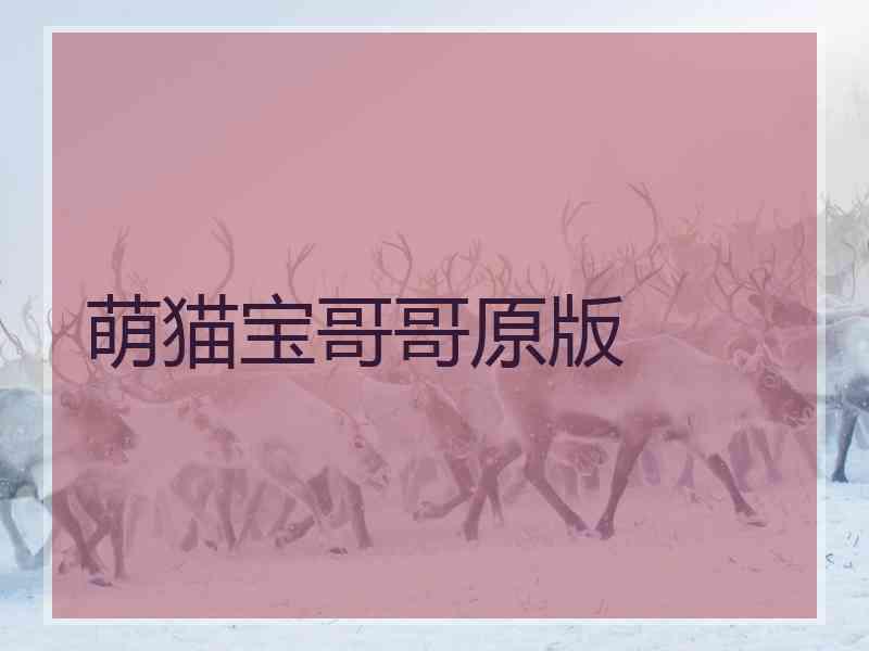 萌猫宝哥哥原版 萌猫宝哥哥原版