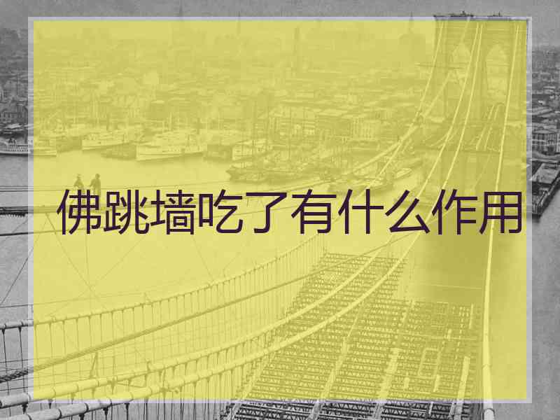 佛跳墙吃了有什么作用 佛跳墙吃了有什么作用