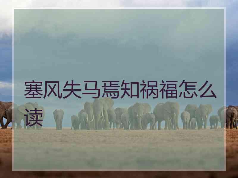 塞风失马焉知祸福怎么读 塞风失马焉知祸福怎么读