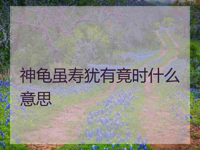 神龟虽寿犹有竟时什么意思 神龟虽寿犹有竟时什么意思