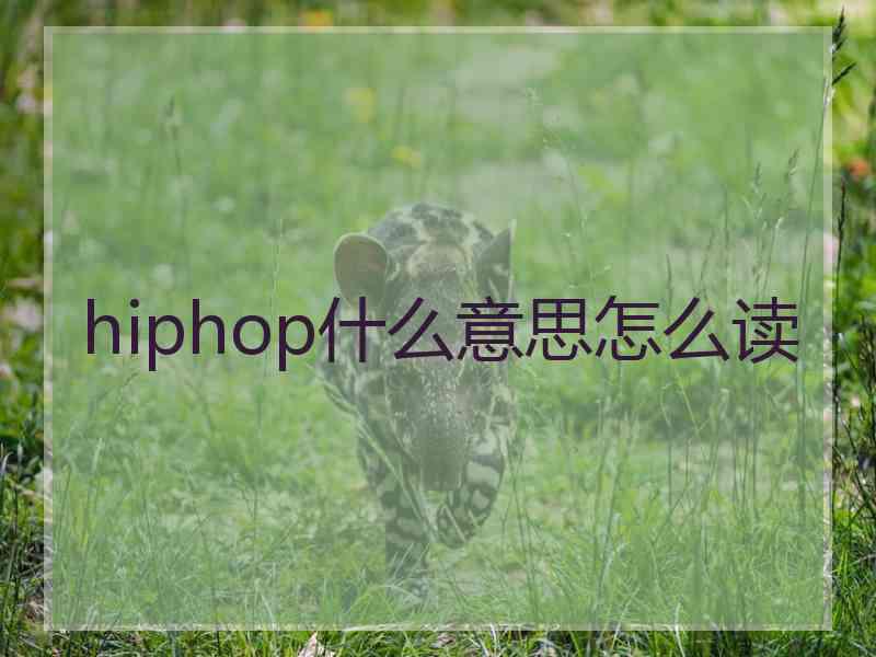 hiphop什么意思怎么读 hiphop什么意思怎么读