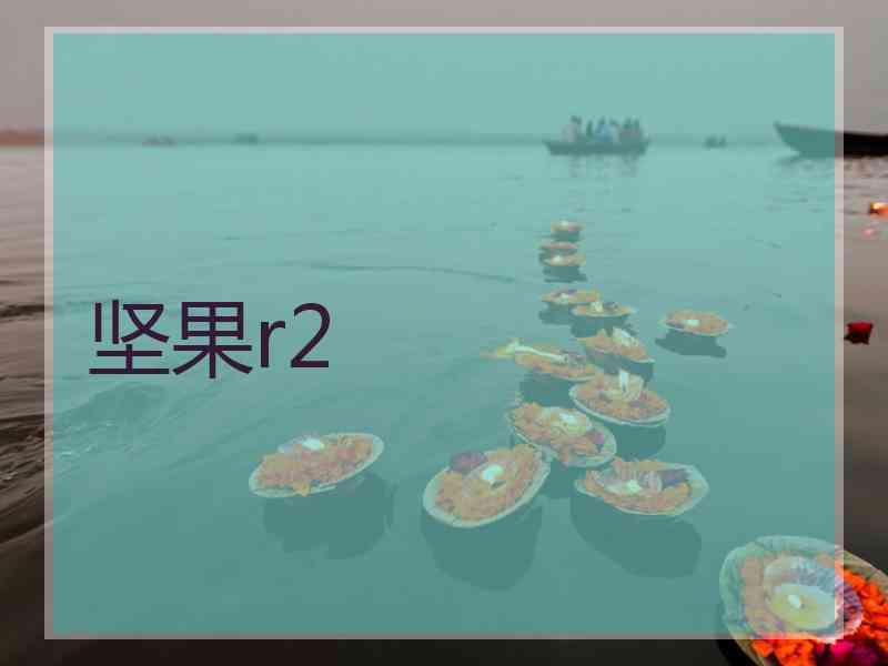坚果r2 坚果r2