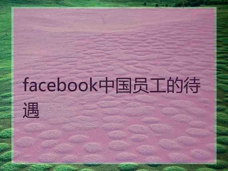facebook中国员工的待遇