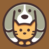 p站搭梯子加速软件