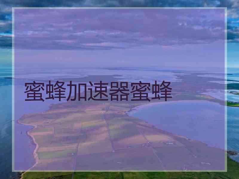 蜜蜂加速器蜜蜂