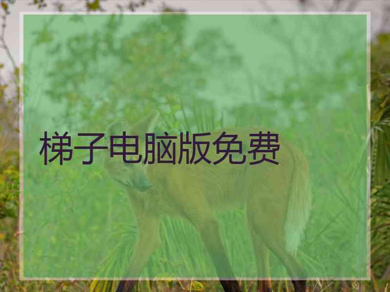 梯子电脑版免费