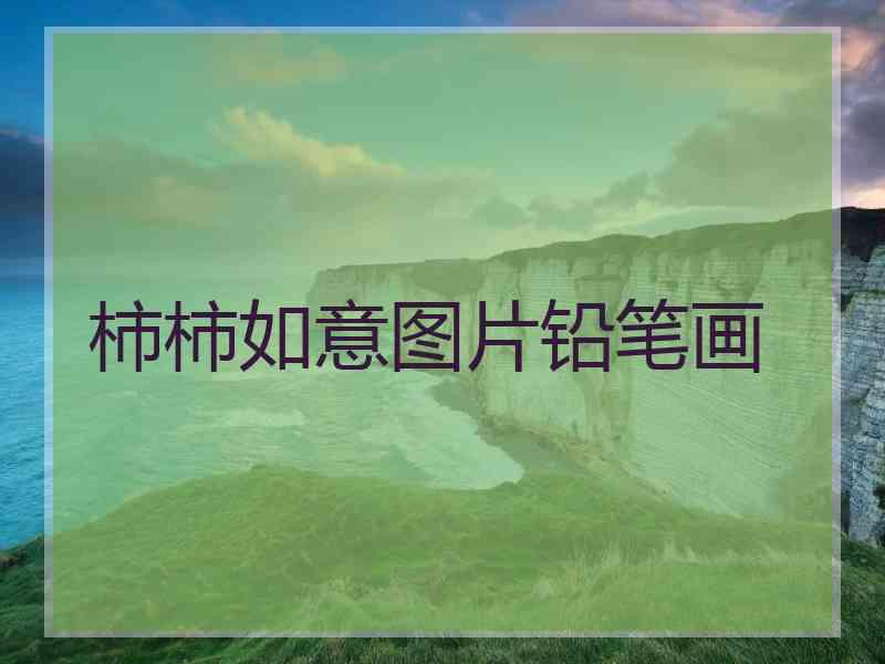 柿柿如意图片铅笔画