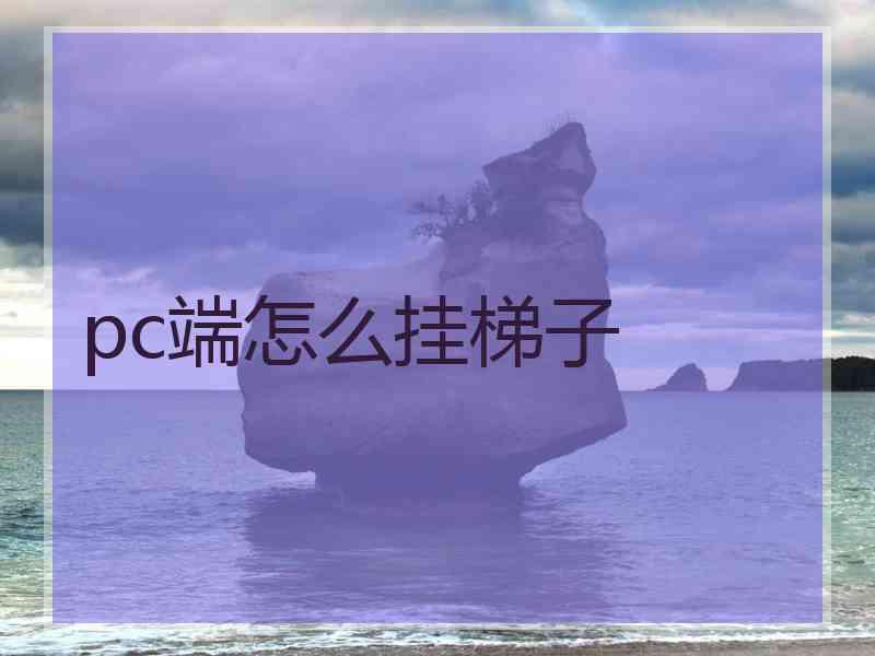 pc端怎么挂梯子