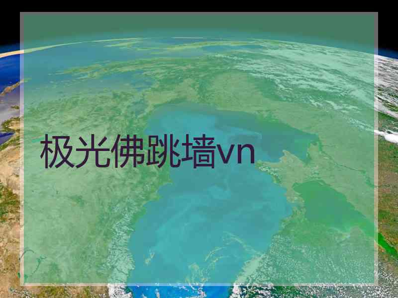 极光佛跳墙vn