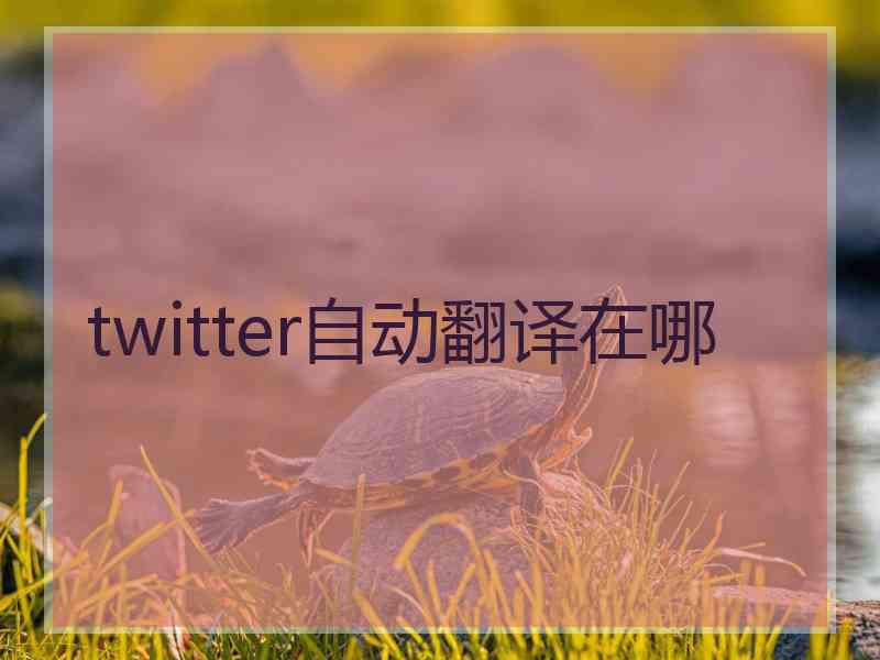 twitter自动翻译在哪