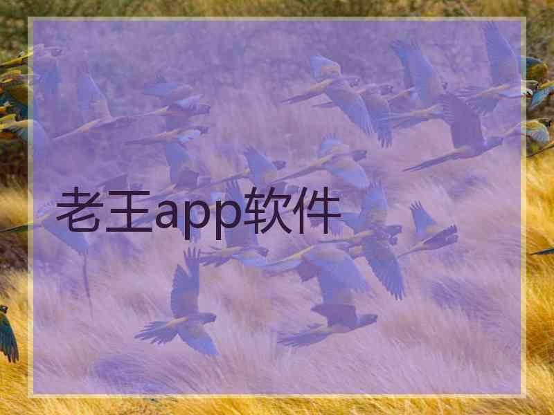 老王app软件