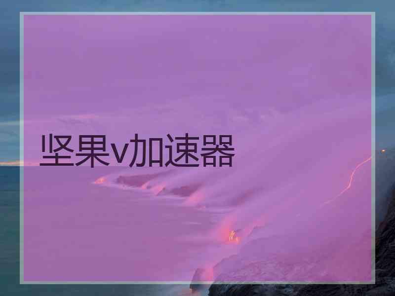 坚果v加速器