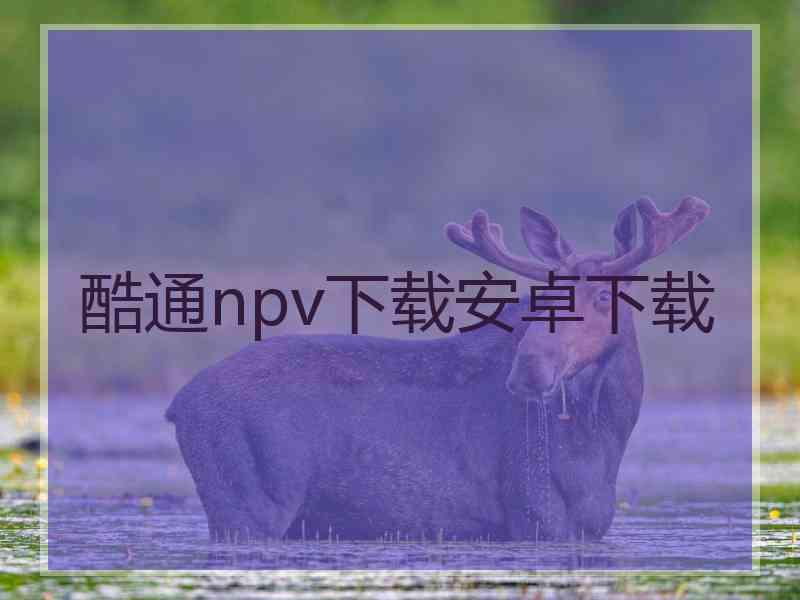 酷通npv下载安卓下载