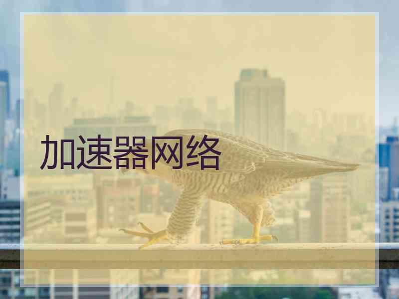 加速器网络