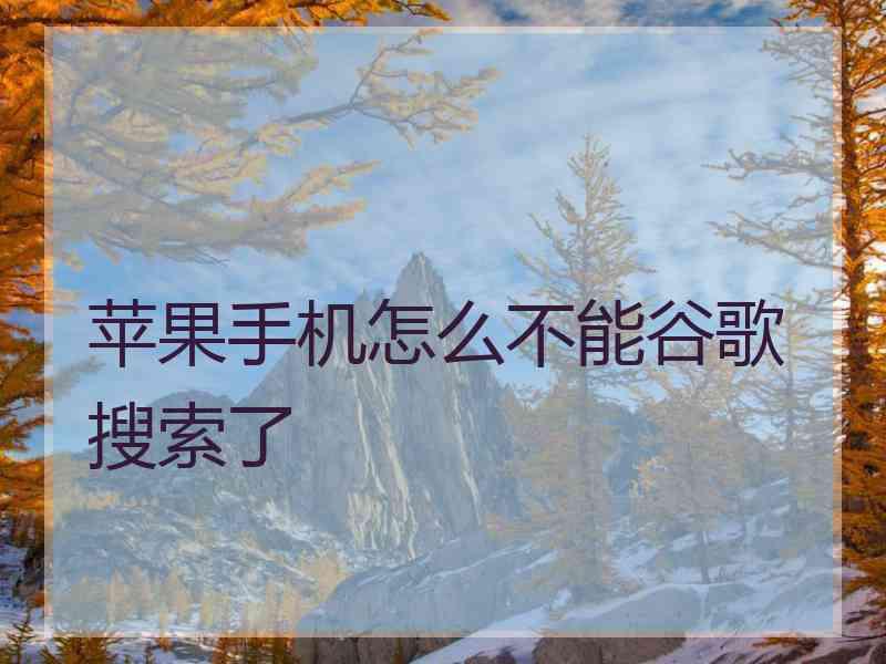 苹果手机怎么不能谷歌搜索了