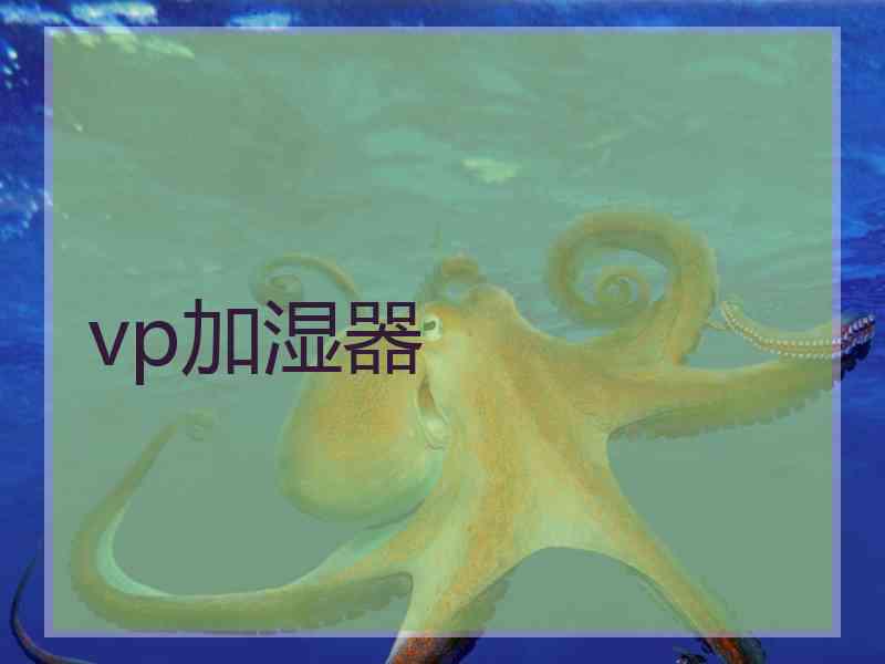 vp加湿器