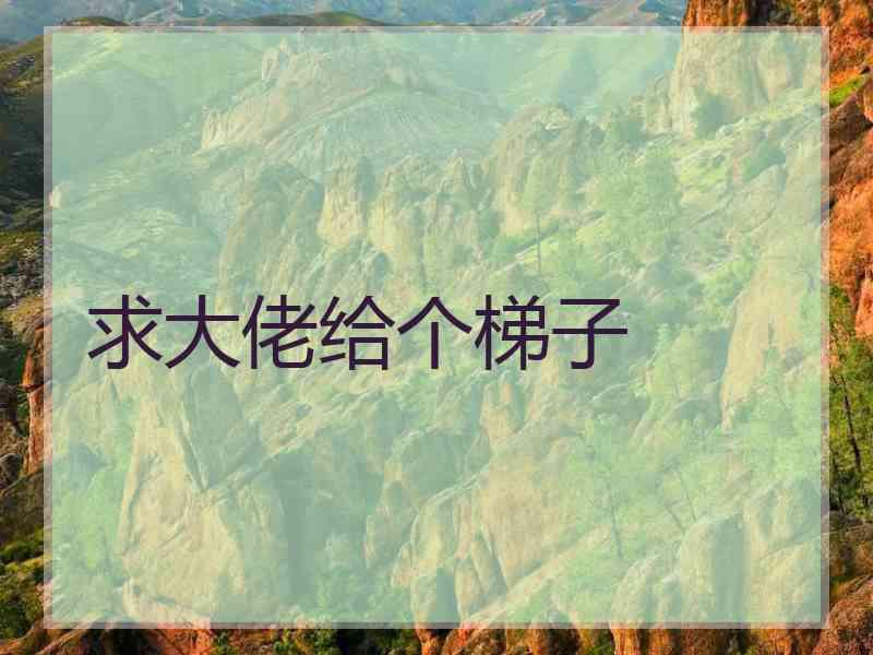 求大佬给个梯子
