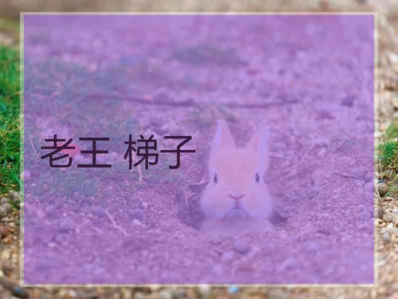老王 梯子