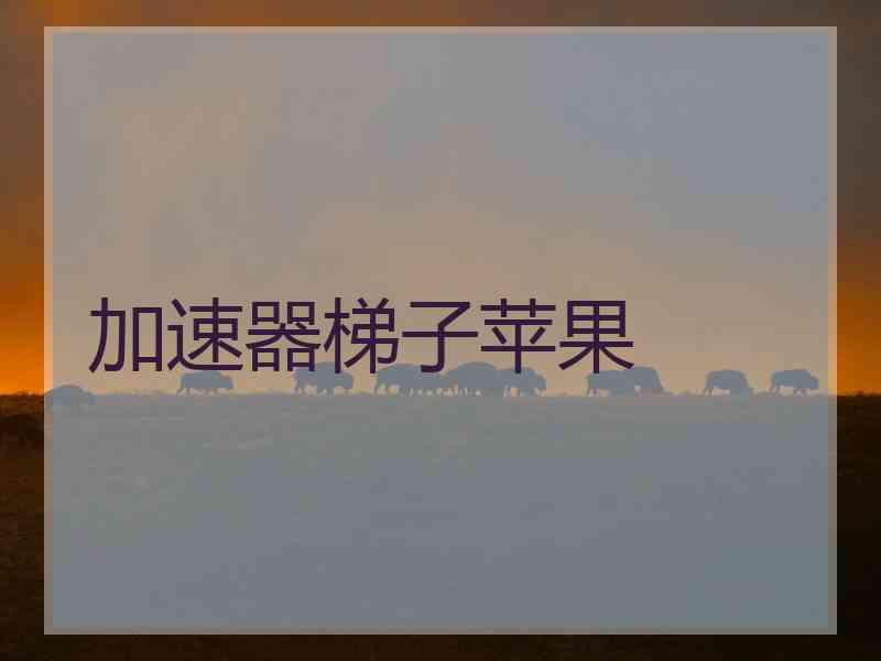 加速器梯子苹果