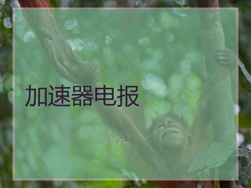 加速器电报