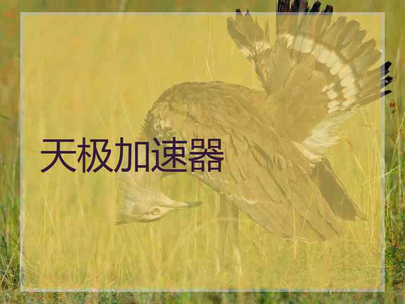 天极加速器