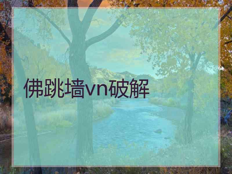 佛跳墙vn破解