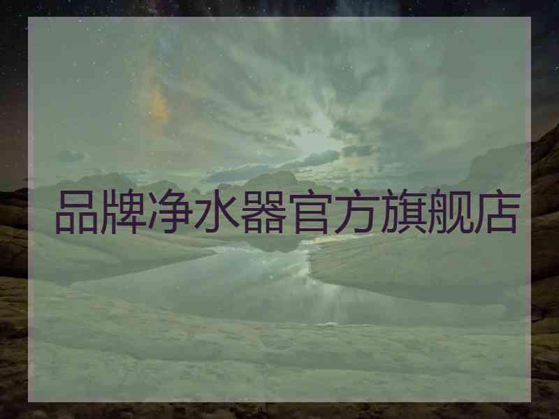 品牌净水器官方旗舰店