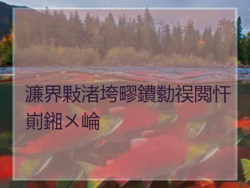 濂界敤渚垮疁鐨勬祦閲忓崱鎺ㄨ崘