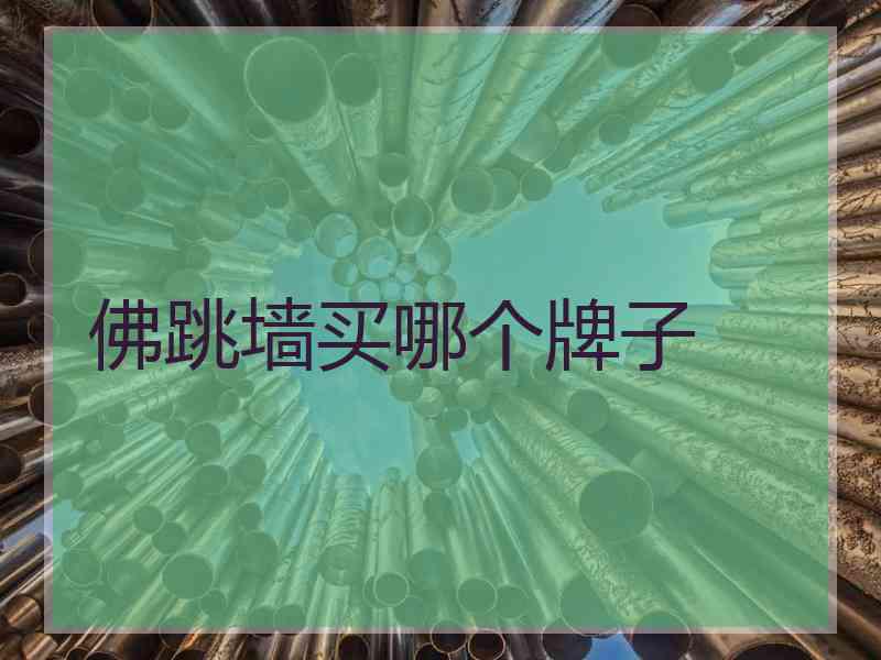 佛跳墙买哪个牌子