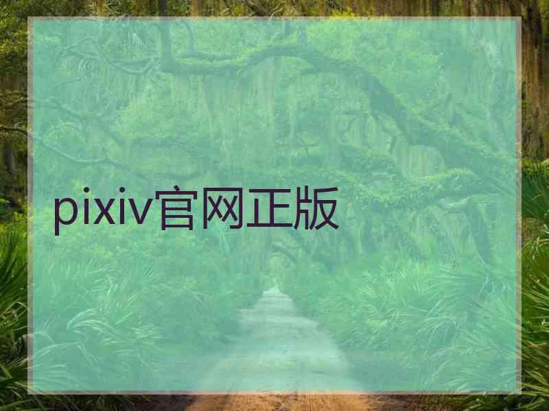pixiv官网正版