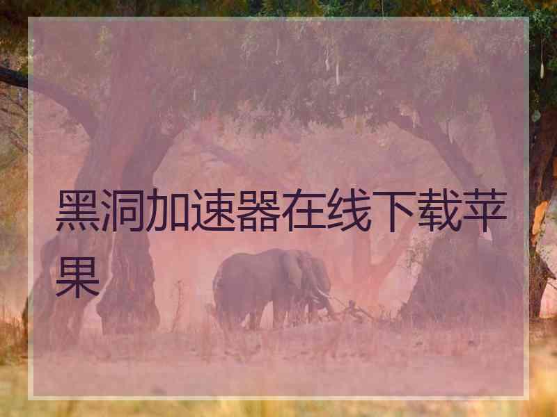 黑洞加速器在线下载苹果