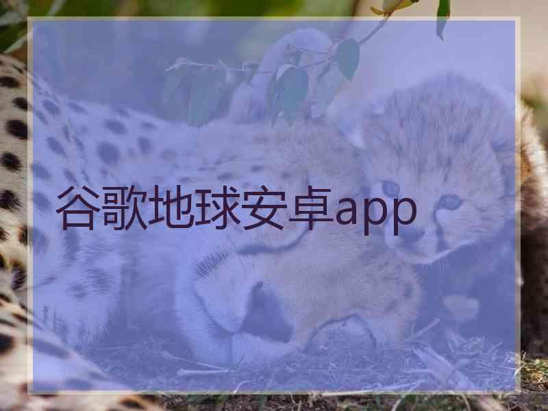 谷歌地球安卓app
