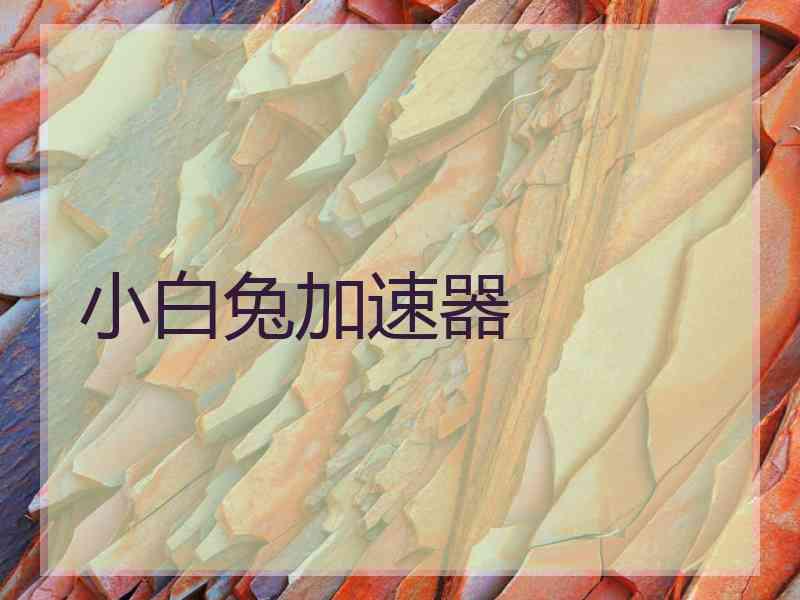 小白兔加速器
