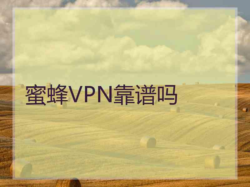 蜜蜂VPN靠谱吗