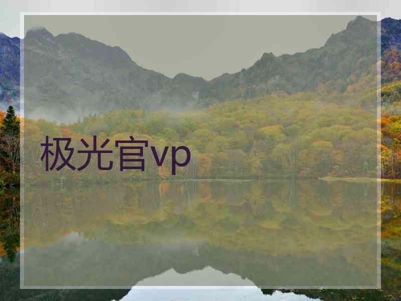 极光官vp