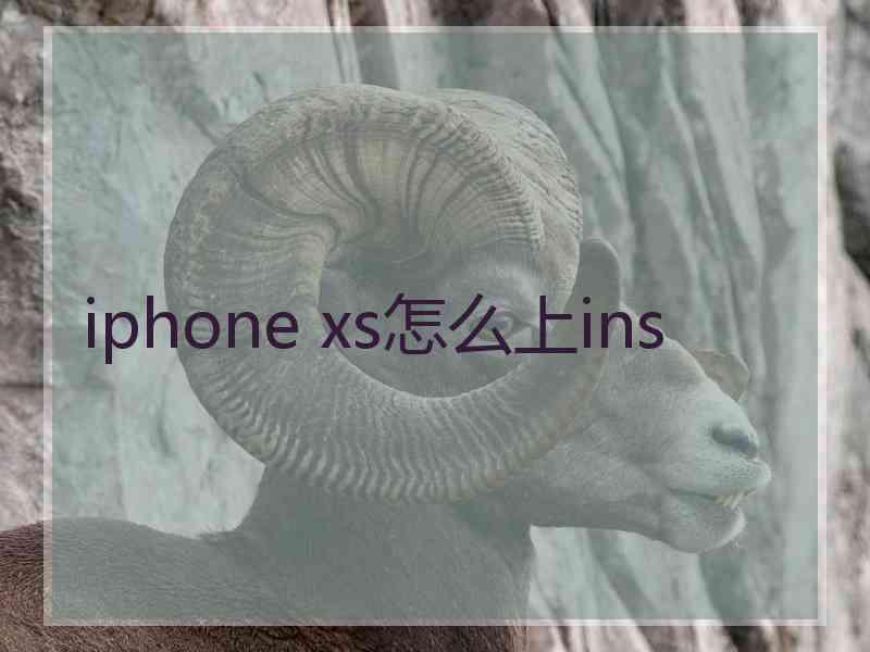 iphone xs怎么上ins