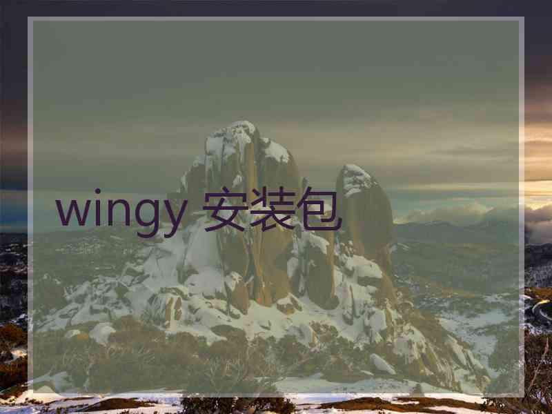 wingy 安装包
