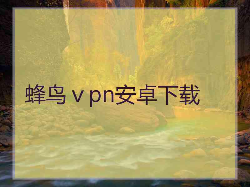 蜂鸟ⅴpn安卓下载
