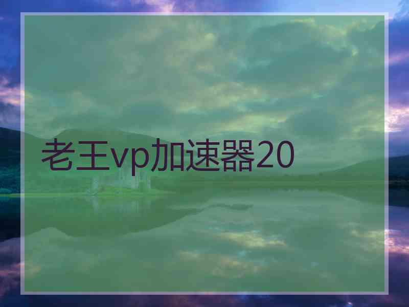 老王vp加速器20