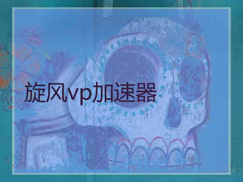 旋风vp加速器