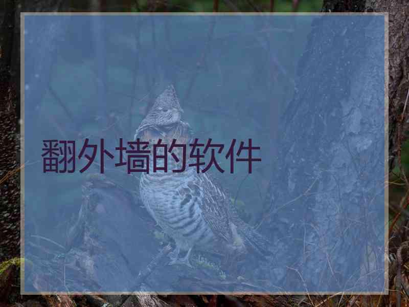 翻外墙的软件
