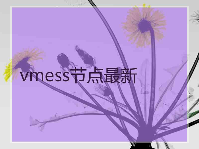 vmess节点最新