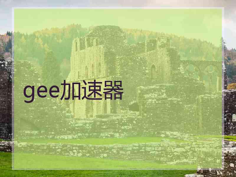 gee加速器