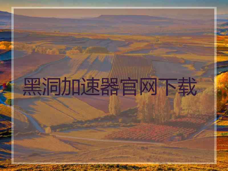 黑洞加速器官网下载